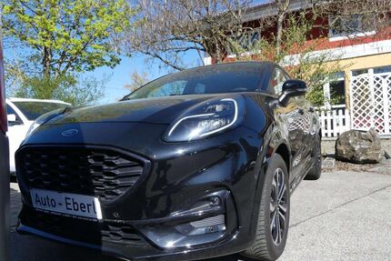 Ford Puma Gebrauchtwagen