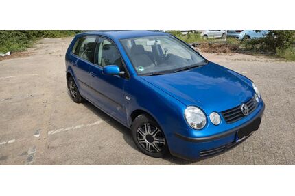VW Polo Gebrauchtwagen