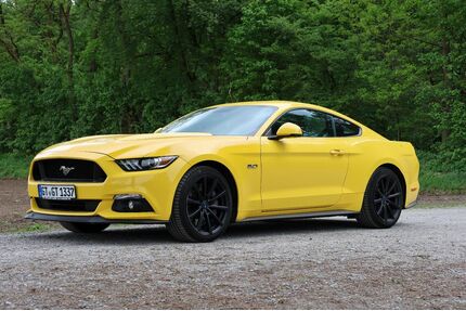 Ford Mustang Gebrauchtwagen