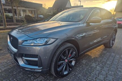 Jaguar F-Pace Gebrauchtwagen