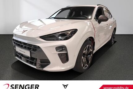 Cupra Terramar Gebrauchtwagen