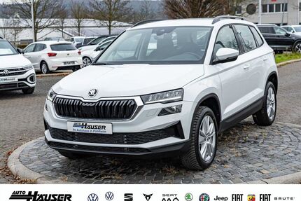 Skoda Karoq Gebrauchtwagen