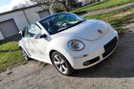 VW Beetle Gebrauchtwagen