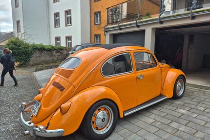 VW Käfer Gebrauchtwagen