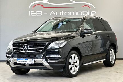 Mercedes-Benz ML 250 Gebrauchtwagen