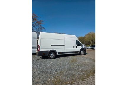 Fiat Ducato Gebrauchtwagen