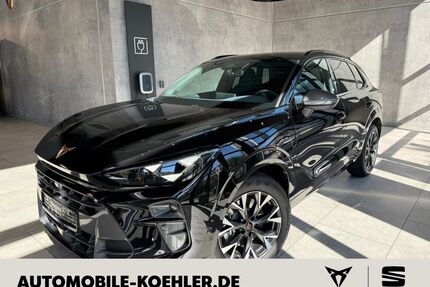 Cupra Terramar Gebrauchtwagen