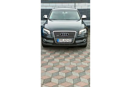 Audi Q5 Gebrauchtwagen