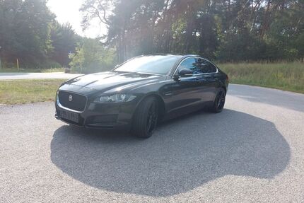 Jaguar XF Gebrauchtwagen