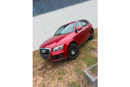 Audi Q5 Gebrauchtwagen