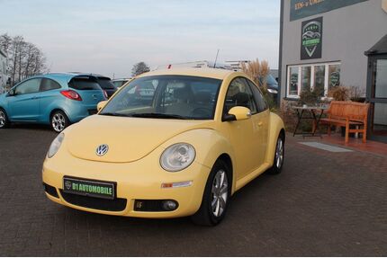 Citroen New Beetle 
