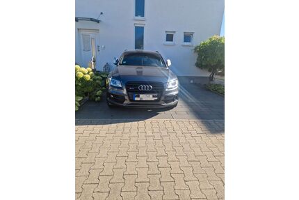 Audi SQ5 Gebrauchtwagen