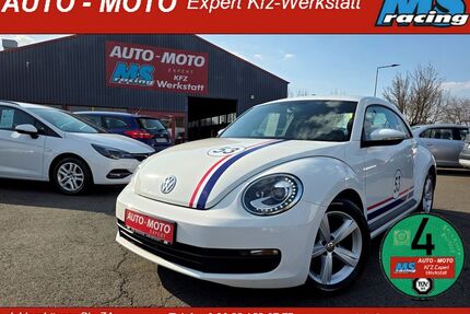 VW Beetle Gebrauchtwagen