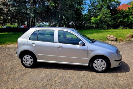 Skoda Fabia Gebrauchtwagen