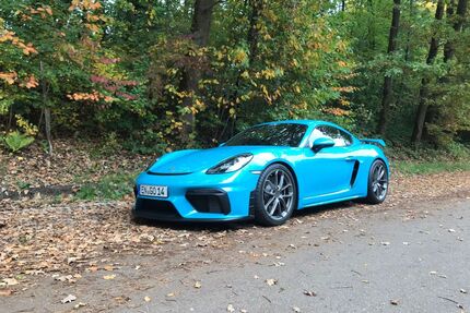 Porsche Cayman Gebrauchtwagen