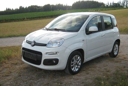 Fiat New Panda Gebrauchtwagen