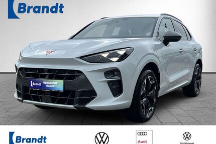 Cupra Terramar Gebrauchtwagen