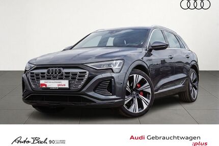 Audi Q8 e-tron Gebrauchtwagen