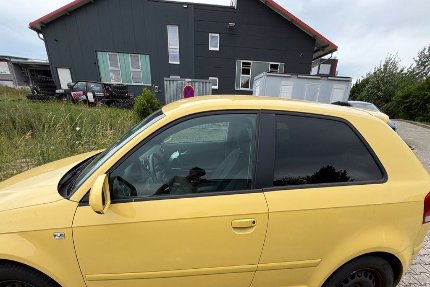 Audi A3 Gebrauchtwagen