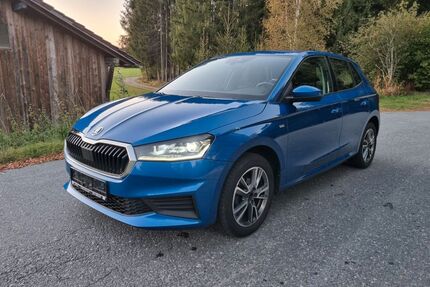 Skoda Fabia Gebrauchtwagen