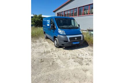 Fiat Ducato Gebrauchtwagen