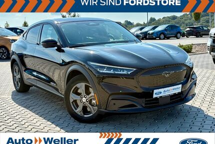 Ford Mustang Mach-E Gebrauchtwagen