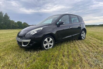 Renault Scenic Gebrauchtwagen