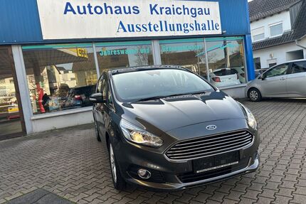 Ford S-Max Gebrauchtwagen