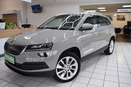 Skoda Karoq Gebrauchtwagen