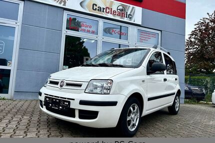 Fiat Panda Gebrauchtwagen