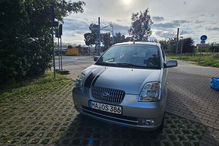 Kia Picanto Gebrauchtwagen