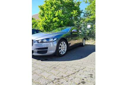 Jaguar XE Gebrauchtwagen
