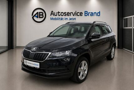 Skoda Karoq Gebrauchtwagen