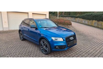 Audi Q5 Gebrauchtwagen