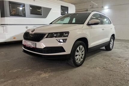 Skoda Karoq Gebrauchtwagen