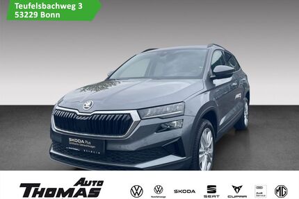 Skoda Karoq Gebrauchtwagen