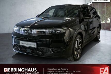 Opel Grandland (X) Gebrauchtwagen