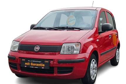 Fiat Panda Gebrauchtwagen
