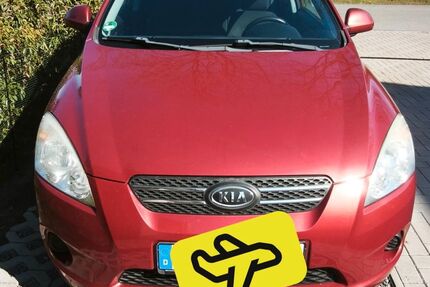 Kia ceed Sportswagon Gebrauchtwagen