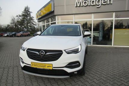 Opel Grandland (X) Gebrauchtwagen