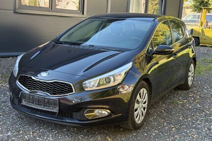 Kia Andere Gebrauchtwagen