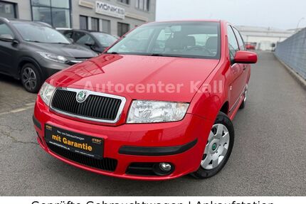 Skoda Fabia Gebrauchtwagen