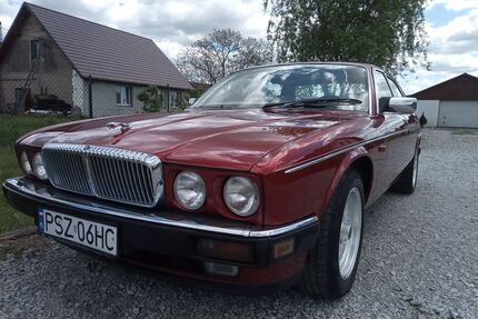 Jaguar XJ12 Gebrauchtwagen