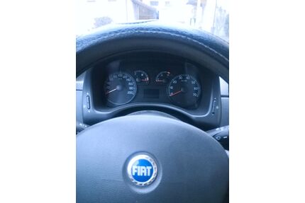 Fiat Punto Gebrauchtwagen