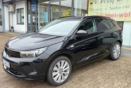 Opel Grandland (X) Gebrauchtwagen