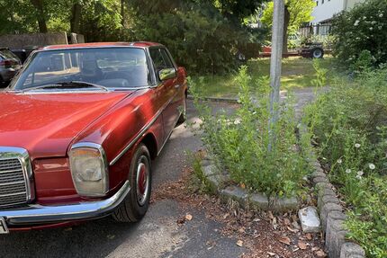 Mercedes-Benz 280 Gebrauchtwagen