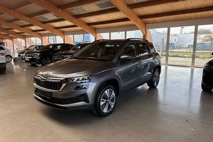 Skoda Karoq Gebrauchtwagen