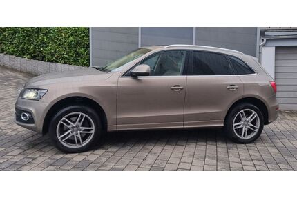 Audi Q5 Gebrauchtwagen