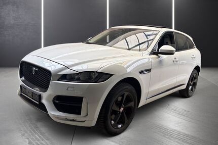 Jaguar F-Pace Gebrauchtwagen