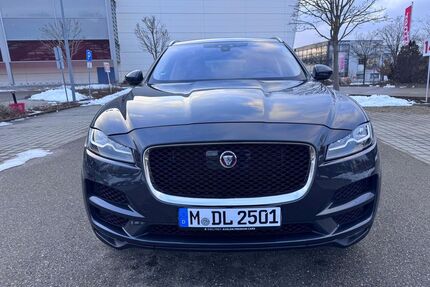 Jaguar F-Pace Gebrauchtwagen